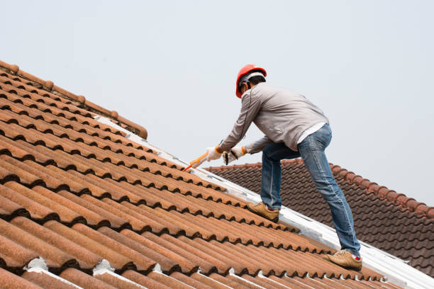 Best Asphalt Shingle Roofing  in Crozet, VA