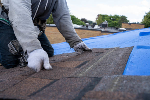 Best Gutter Installation and Repair  in Crozet, VA